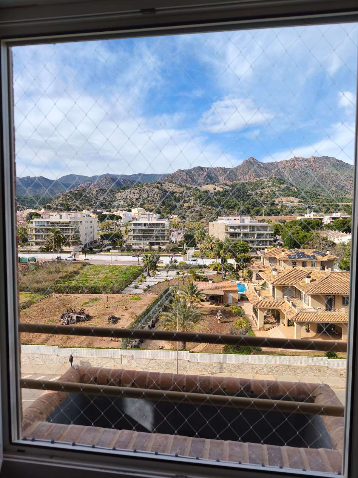 Red anticaída gatos ventana con vistas montañas y palmeras